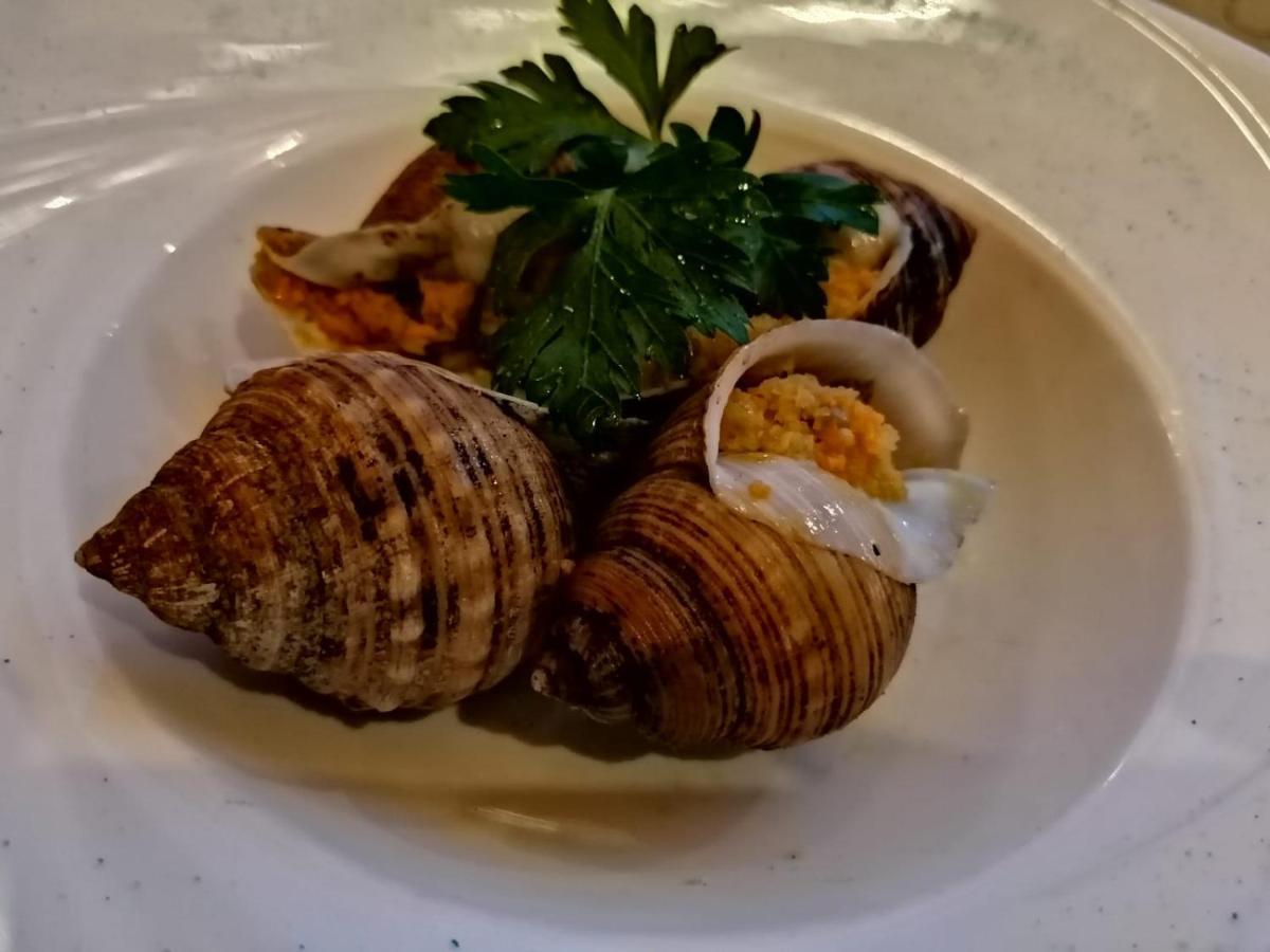 Da Mariolino Hotel Numana Ngoại thất bức ảnh